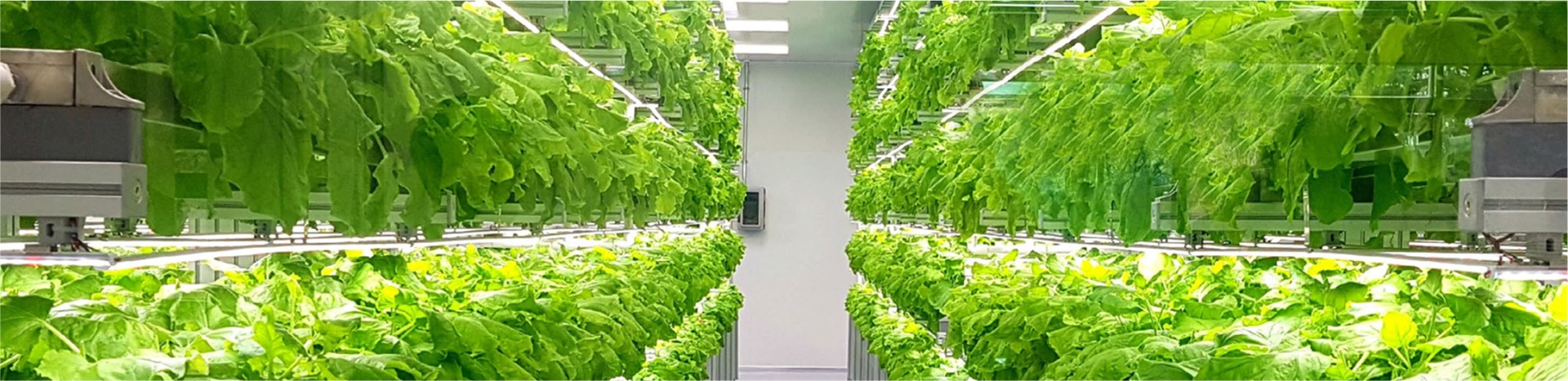 Agrilumia company introduction