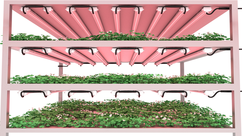 Hydroponics case