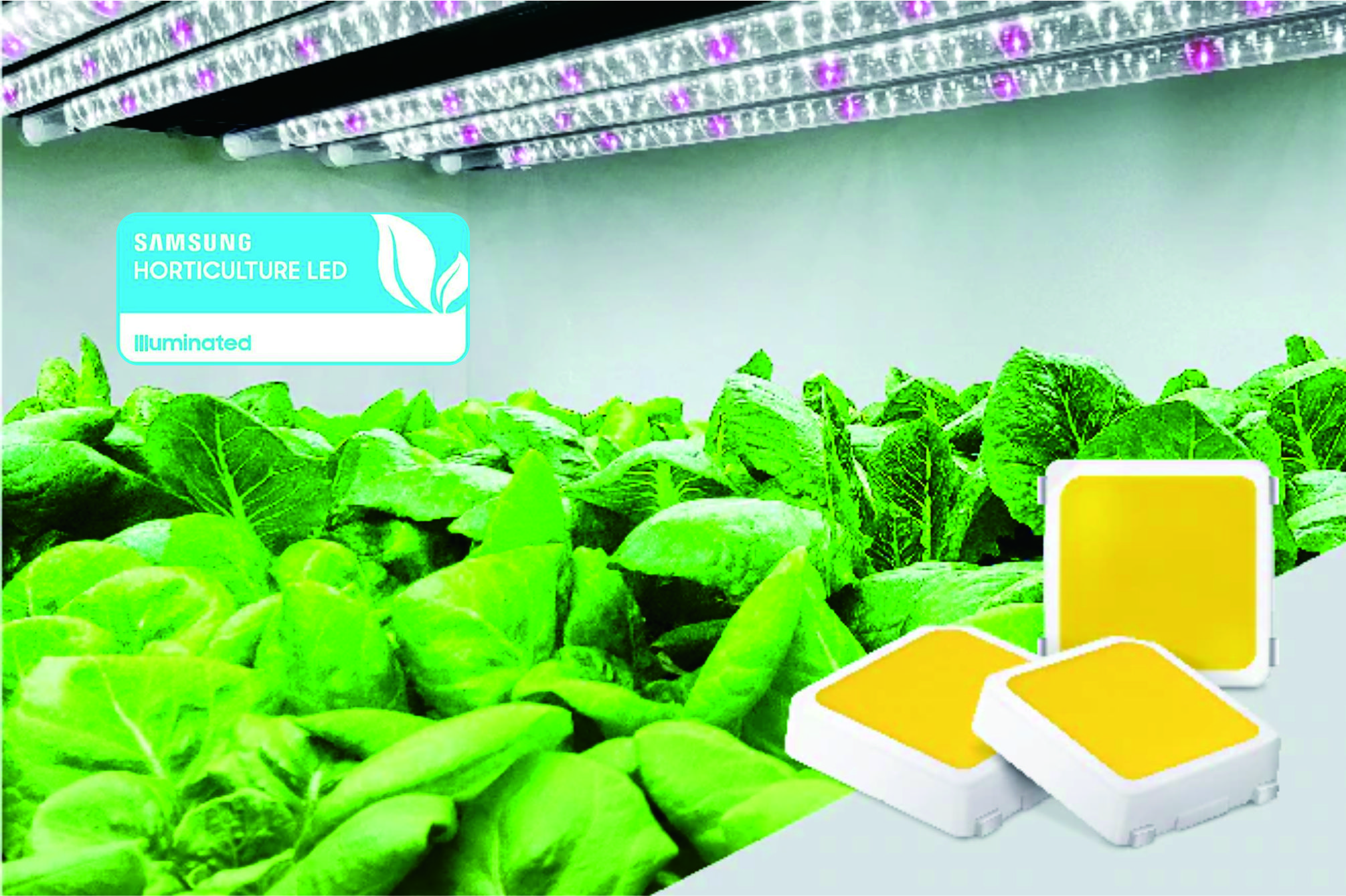 Samsung and Osram LEDs